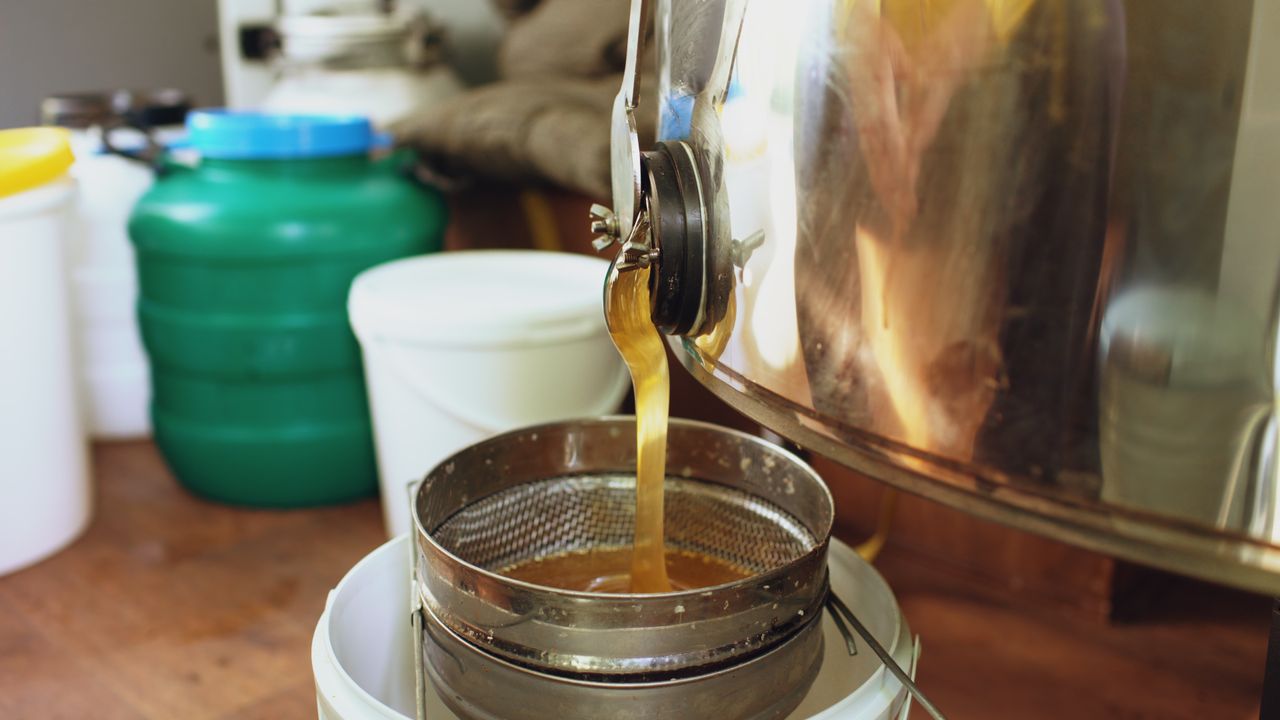 about-us-02 Honey flowing from a large stainless steel extractor into a filter in a beekeeping setup.